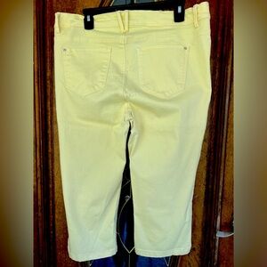Curve Appeal 16/33 NWOT Yellow Wear it casual or dress it up.